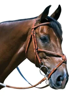 Edgewood Raised Fancy Stitch Padded Figure 8 Bridle
