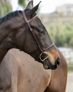 Edgewood Raised Fancy Stitch Bridle