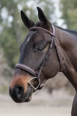 Edgewood Raised Padded Fancy Stitch Bridle with Padded Crown