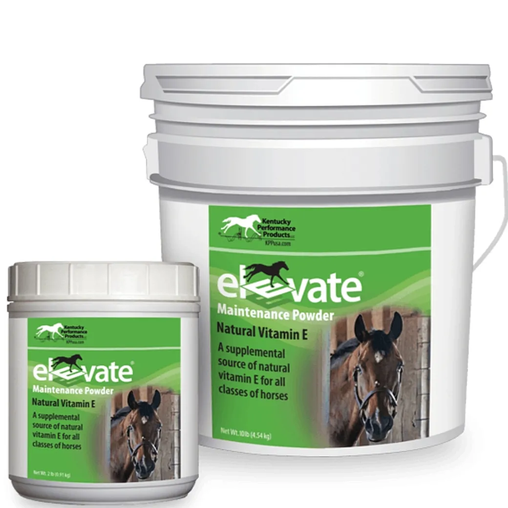 Elevate Maintenance Powder