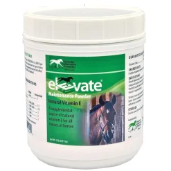 Elevate Maintenance Powder