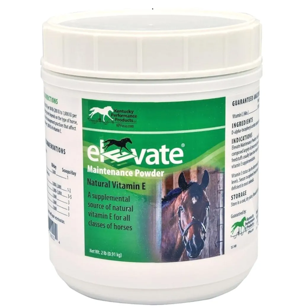 Elevate Maintenance Powder