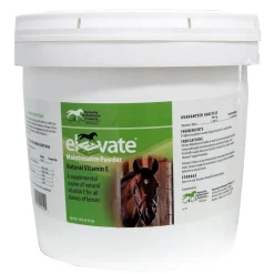 Elevate Maintenance Powder