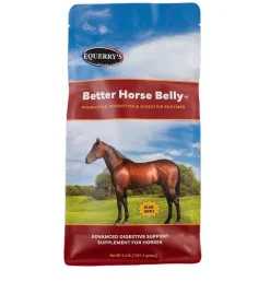 Equerry's Better Horse Belly