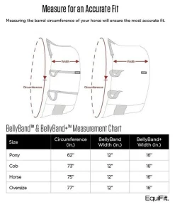EquiFit BellyBand