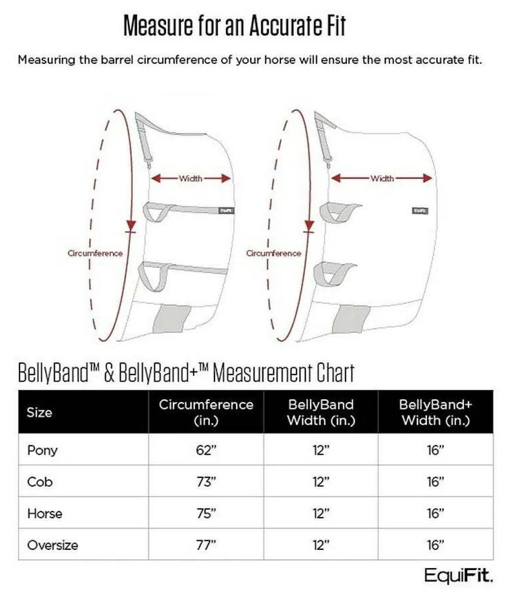 EquiFit BellyBand