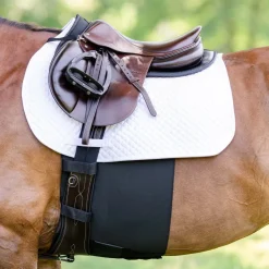 EquiFit BellyBand+