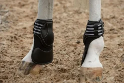 EquiFit D-Teq Extended Coverage Hind Boots