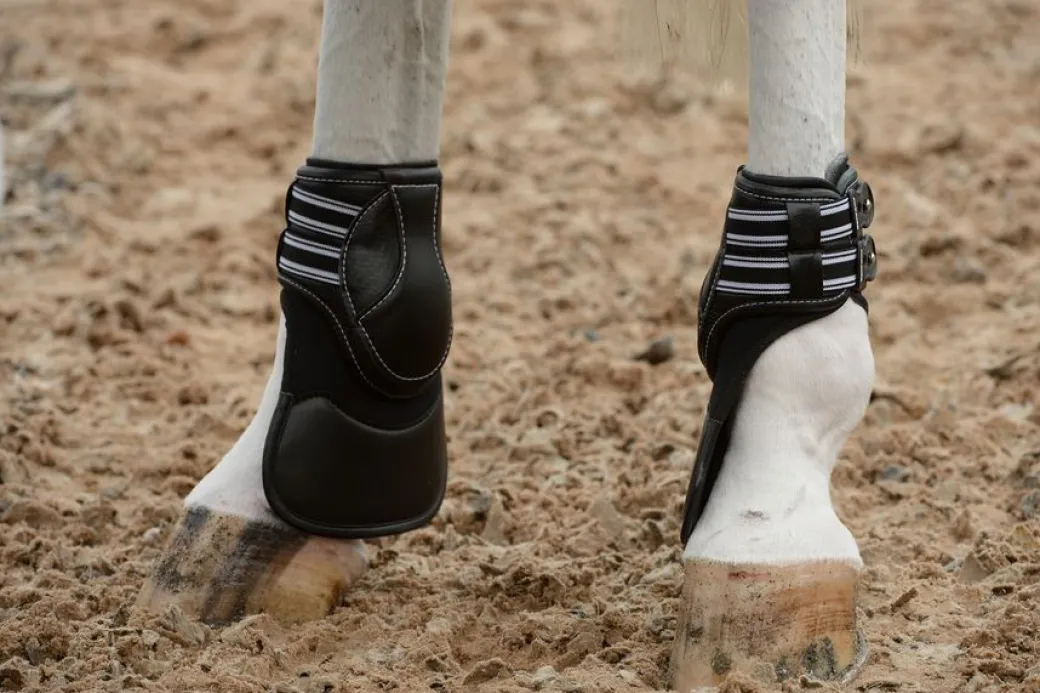 EquiFit D-Teq Extended Coverage Hind Boots