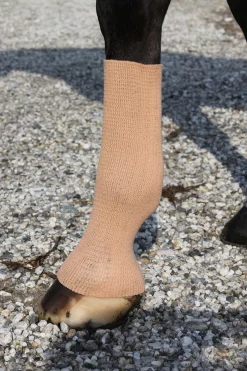 EquiFit Gel Sox For Horses