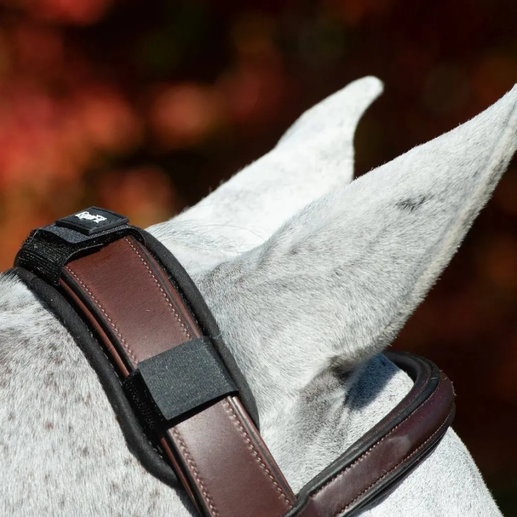 EquiFit ImpacTeq Crown Pad