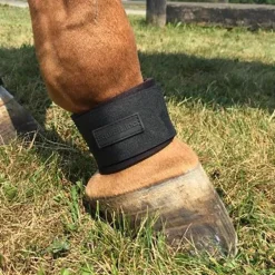 EquiFit Pastern Wraps