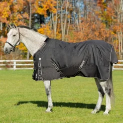Equinavia Norse Lightweight Turnout Blanket 100g