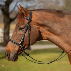 Equinavia Saga Bitless Bridle