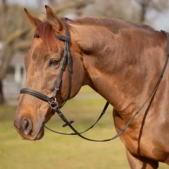 Equinavia Saga Bitless Bridle