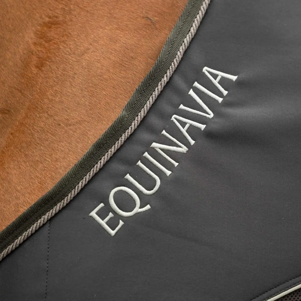 Equinavia Sommer NordicAir Stable Sheet