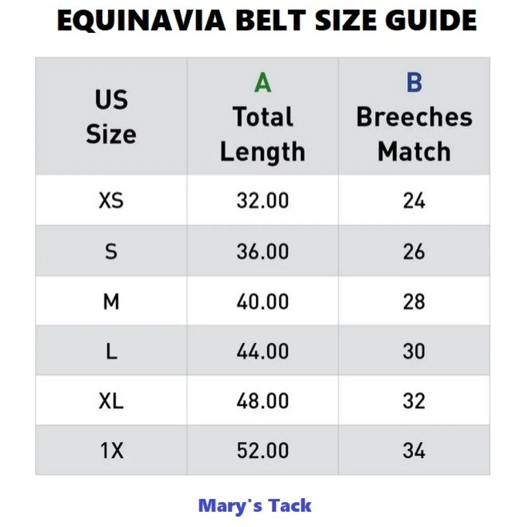 Equinavia Tirild Bit Belt
