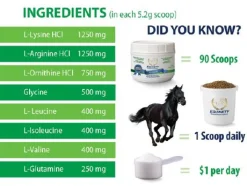 Equinety Horse XL