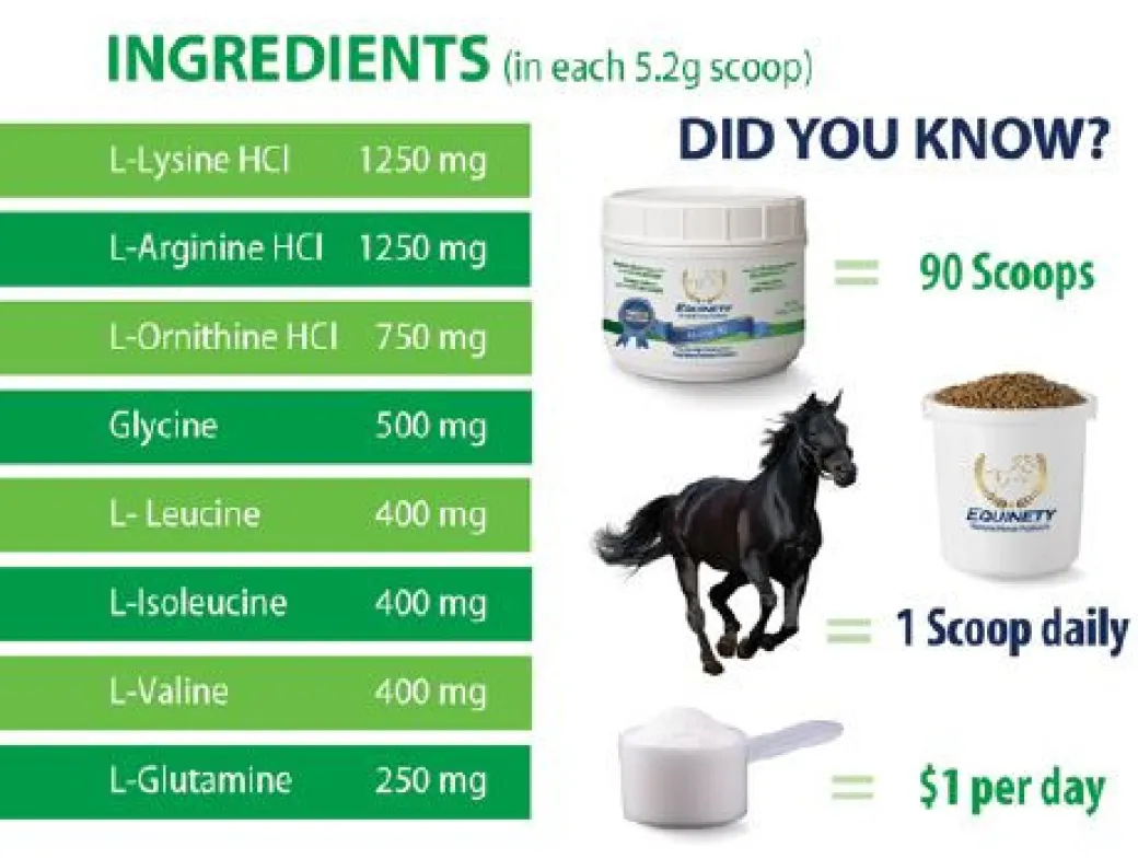 Equinety Horse XL