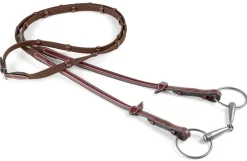 Equipe Web Reins
