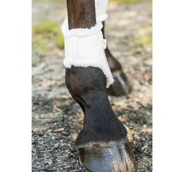 Euro Pro Thor Hind Ankle Boots