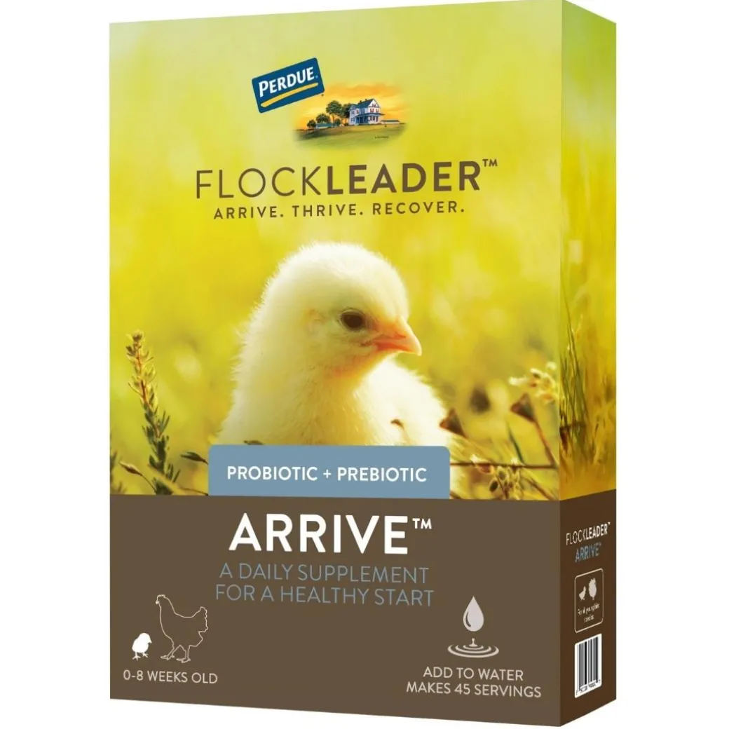 FlockLeader Arrive