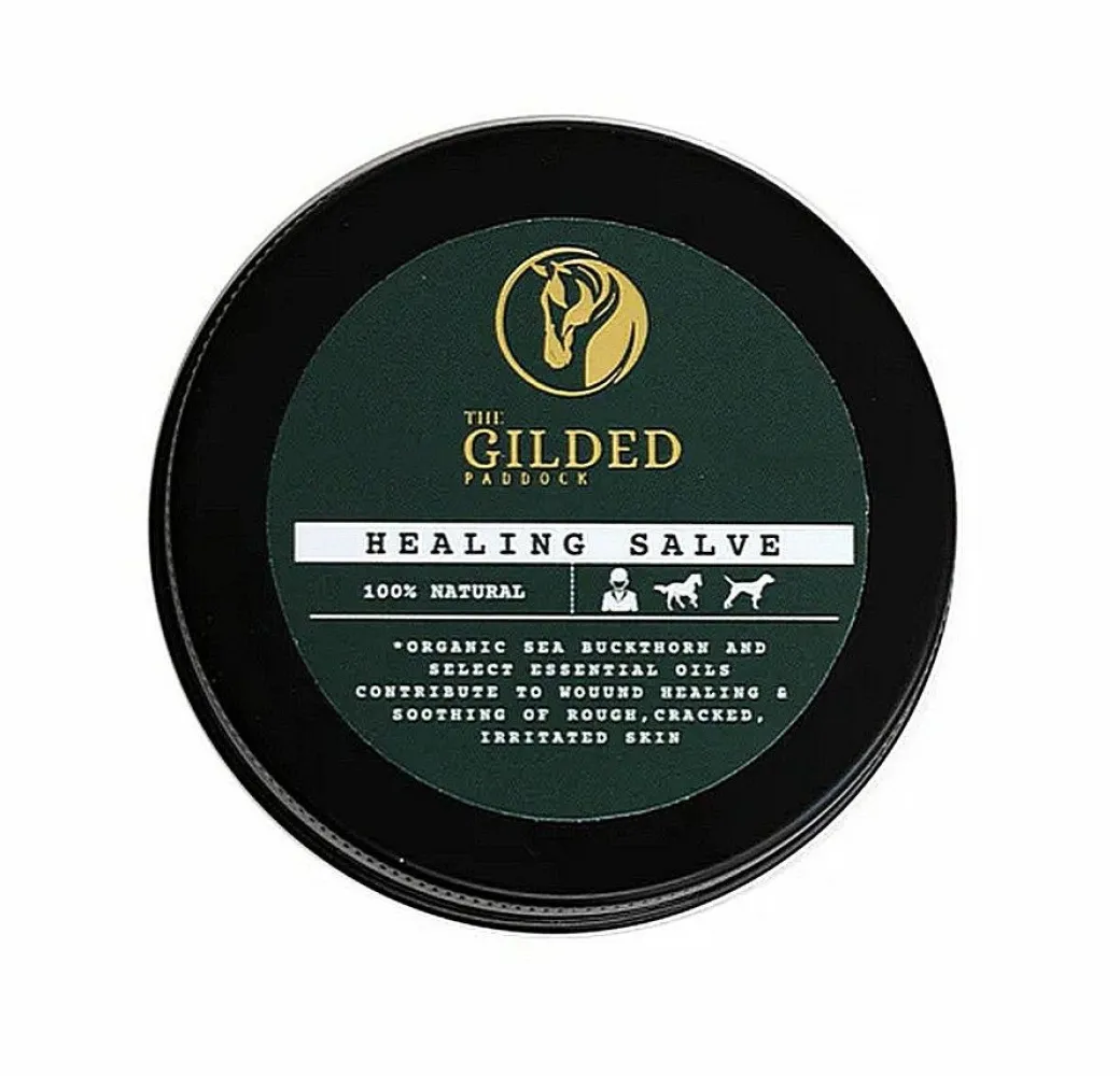 Gilded Paddock Healing Salve