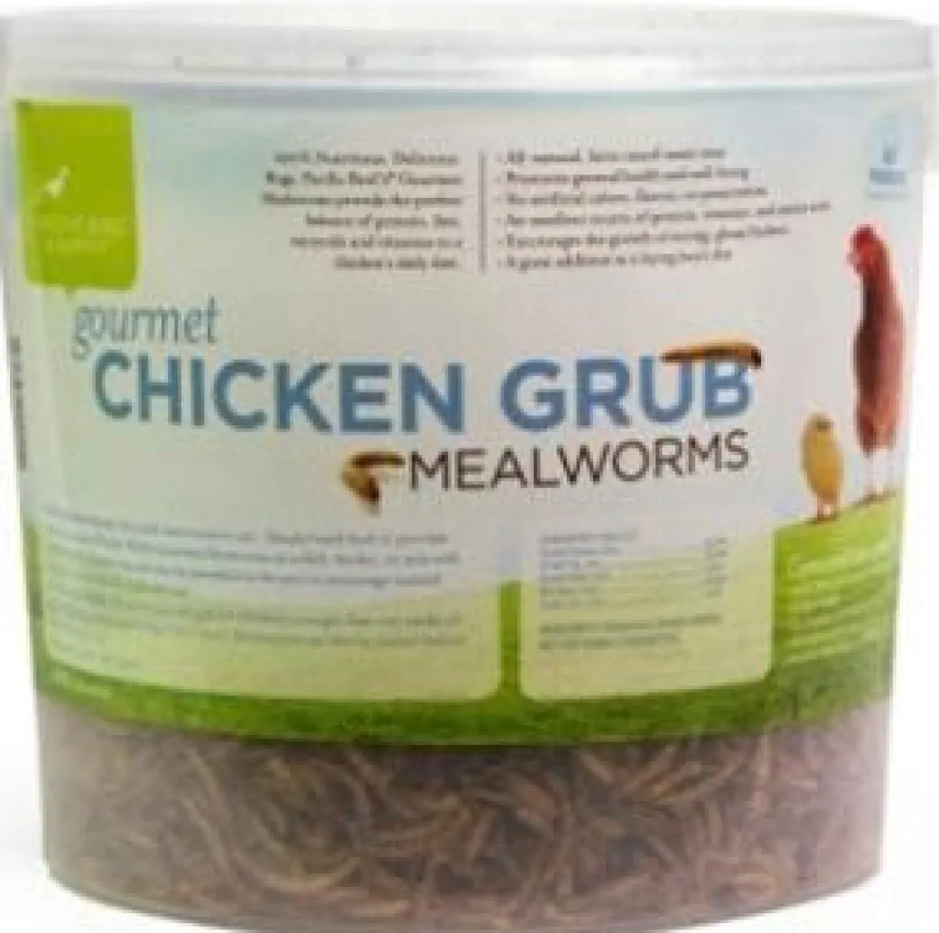 Gourmet Chicken Grub Mealworm Treats 14 oz