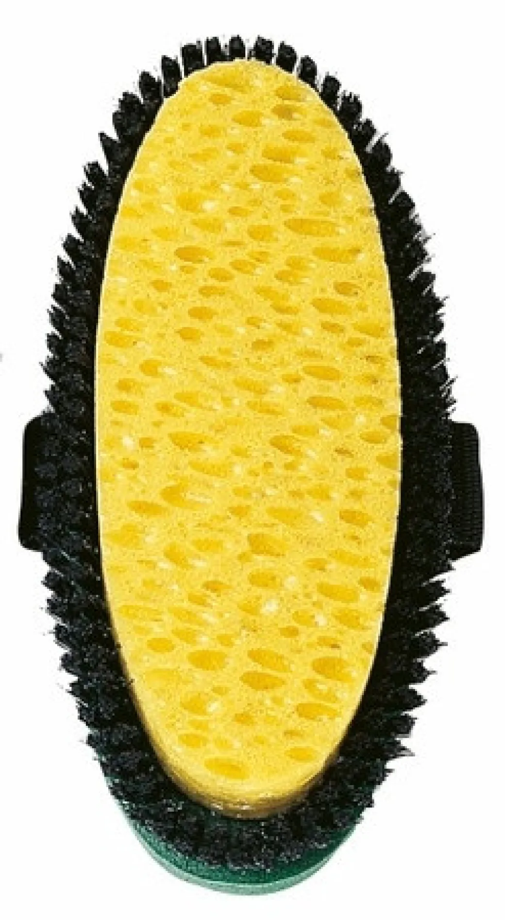 HAAS Combi Sponge Brush