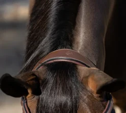 Halter Ego Deauville Anatomical Jumper Bridle