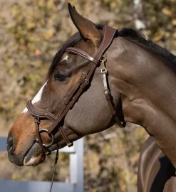Halter Ego Deauville Anatomical Jumper Bridle
