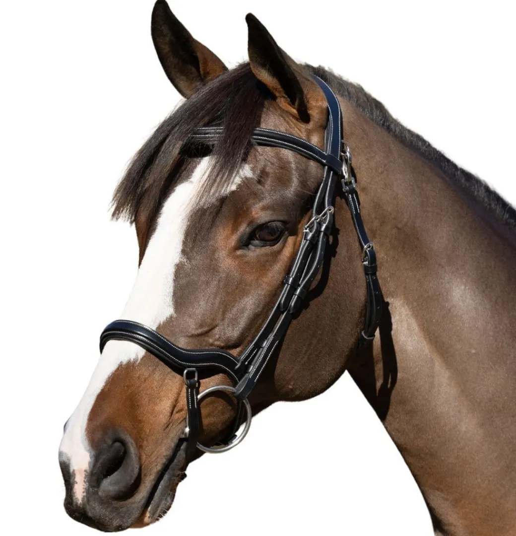 Halter Ego Deauville Anatomical Jumper Bridle