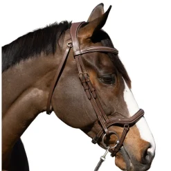 Halter Ego Deauville Anatomical Jumper Bridle