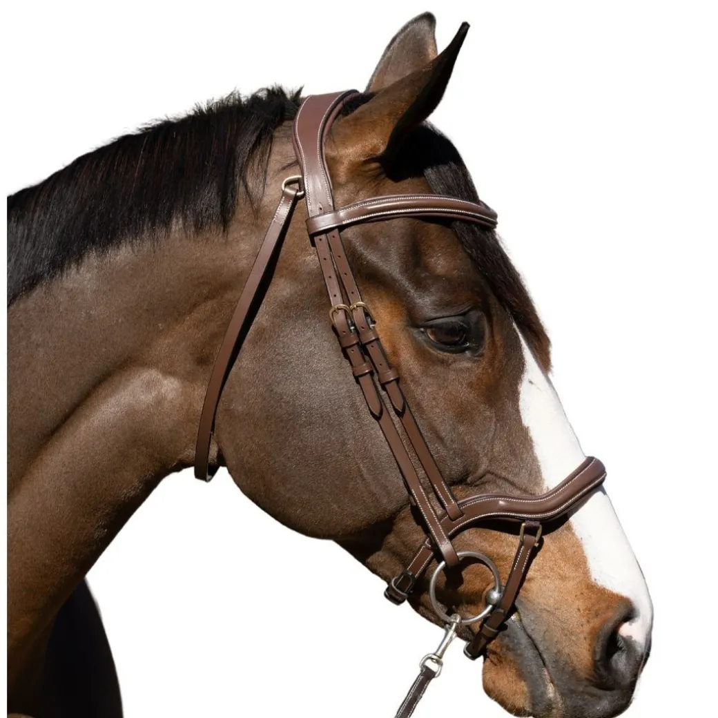 Halter Ego Deauville Anatomical Jumper Bridle