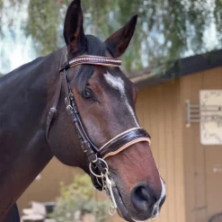 Halter Ego Florence Double Bridle