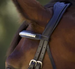 Halter Ego Galway Jumper Bridle