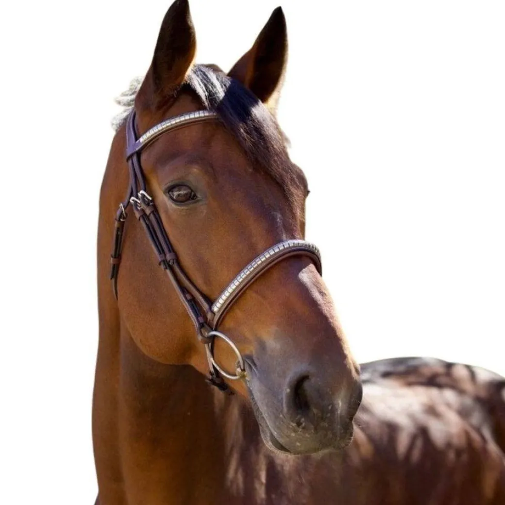 Halter Ego Galway Jumper Bridle