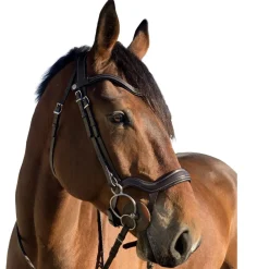 Halter Ego Remington Anatomical Jumper Bridle
