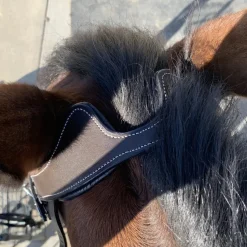 Halter Ego Remington Anatomical Jumper Bridle