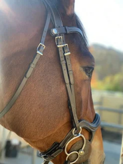 Halter Ego Remington Anatomical Jumper Bridle