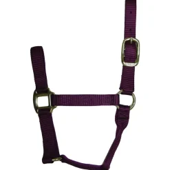 Hamilton Quality 1" Nylon Halter