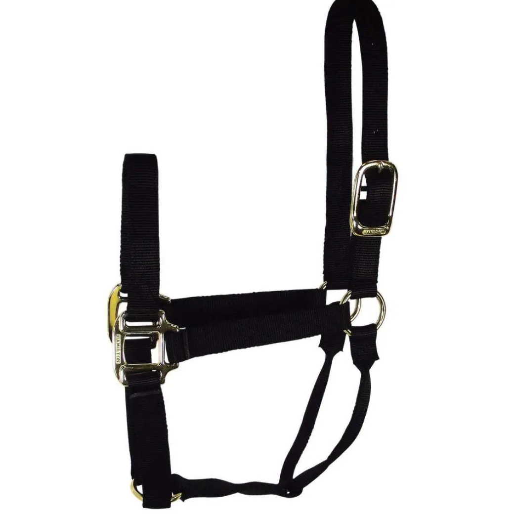 Hamilton Quality 1" Nylon Halter