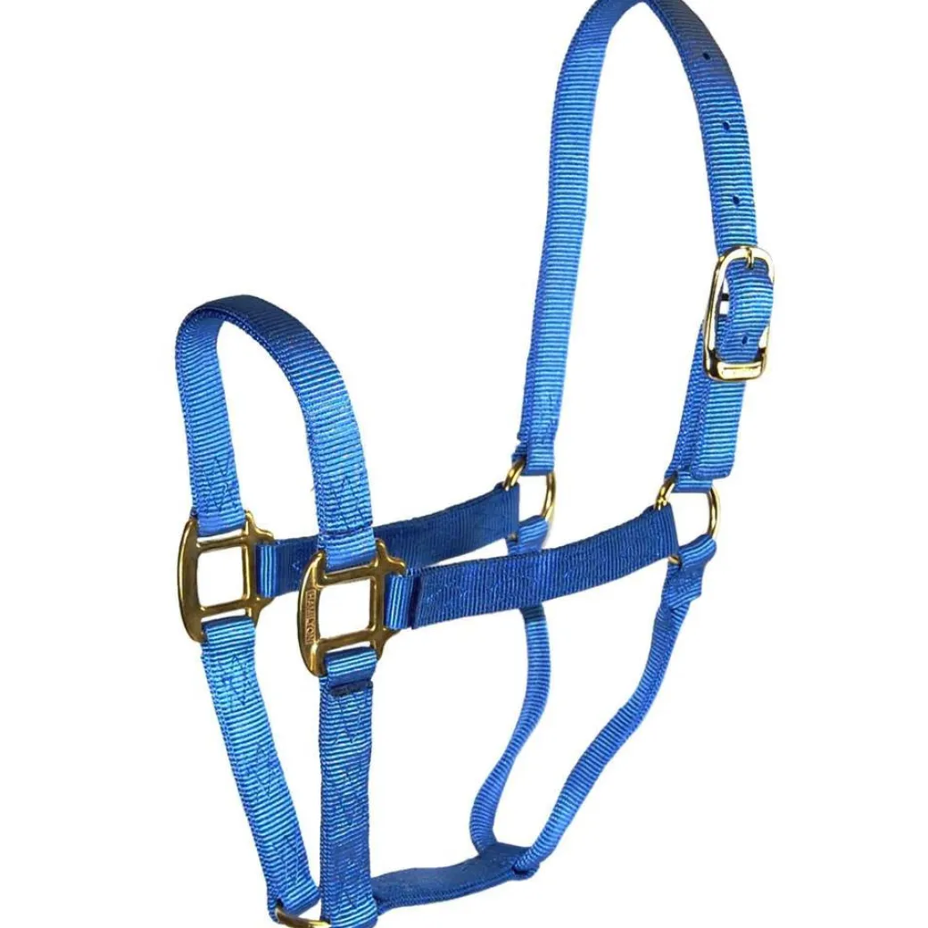 Hamilton Quality 1" Nylon Halter