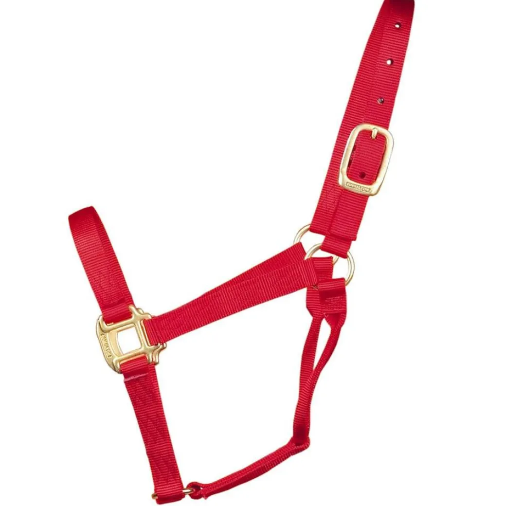 Hamilton Quality 1" Nylon Halter