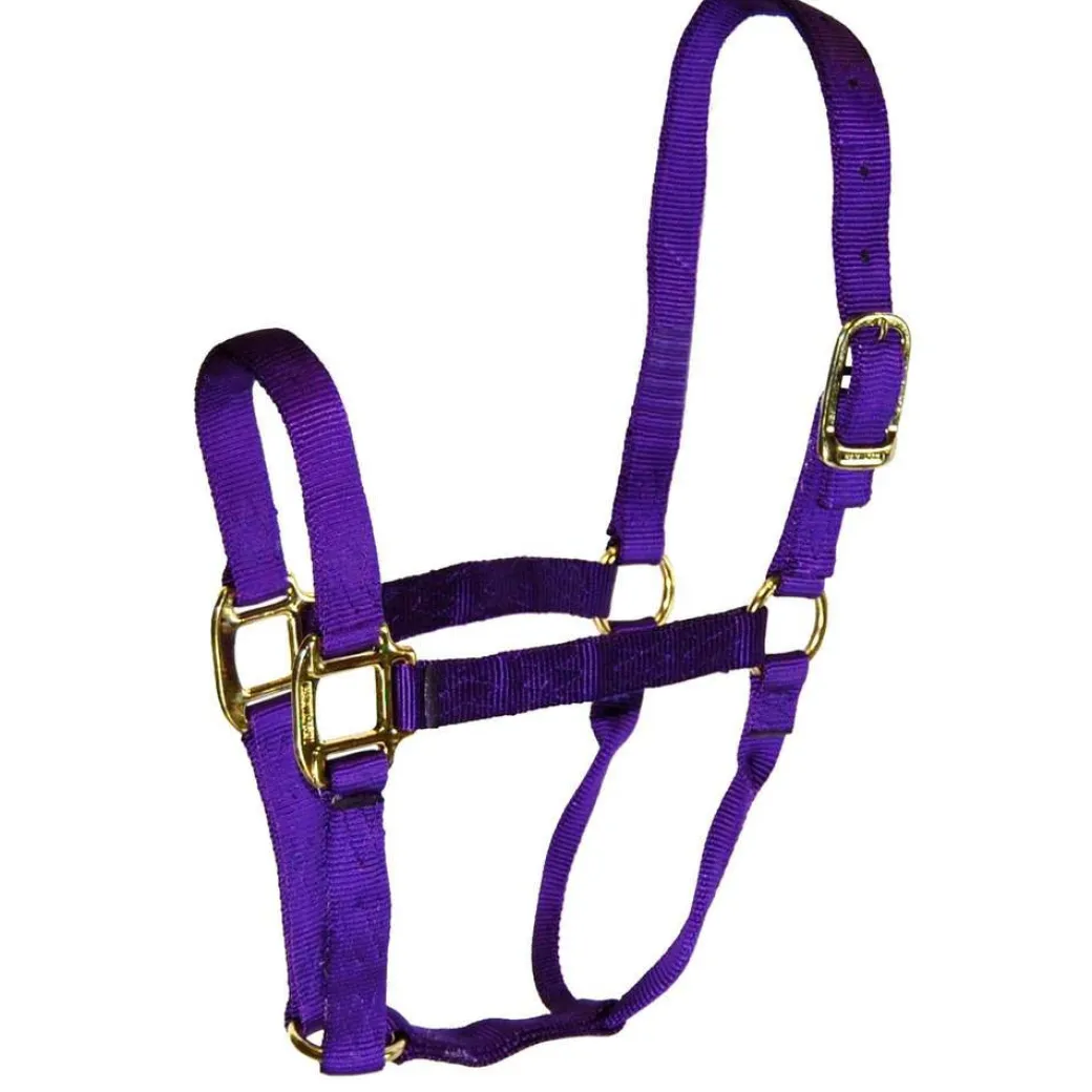 Hamilton Quality 1" Nylon Halter