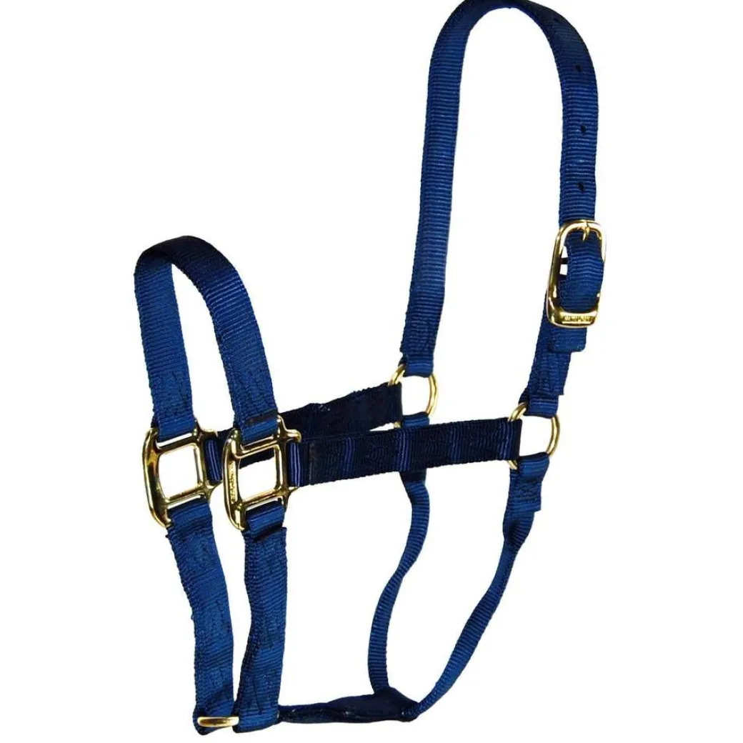 Hamilton Quality 1" Nylon Halter