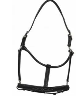 HDR Pony Fancy Padded Leather Halter