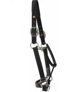 HDR Pony Fancy Padded Leather Halter
