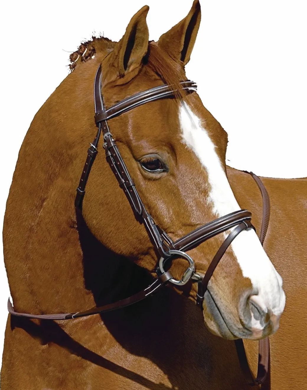 HDR Pro Monocrown Plain Raised Flash Bridle