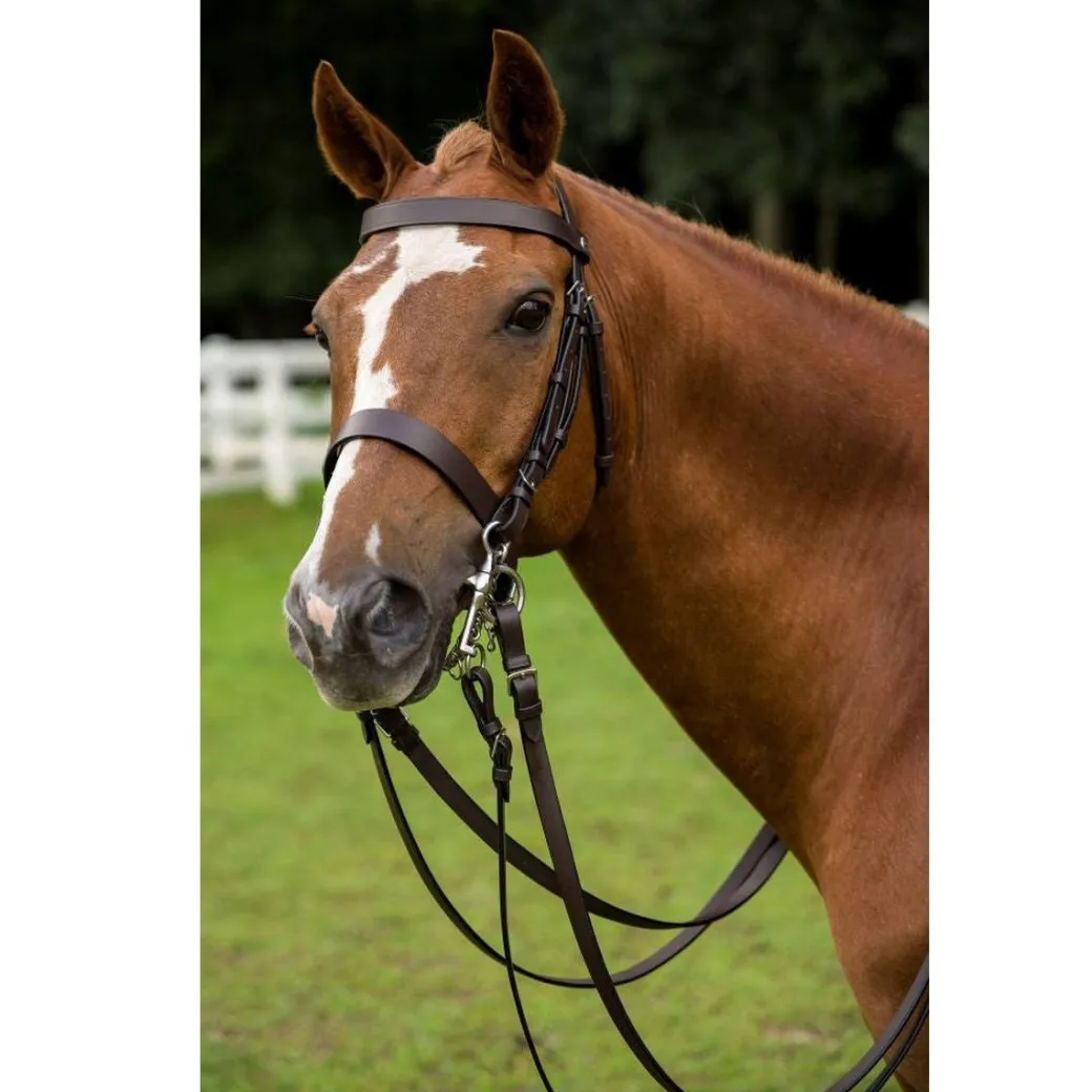 Henri de Rivel Polo Bridle